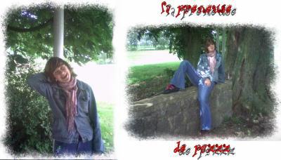 cclie